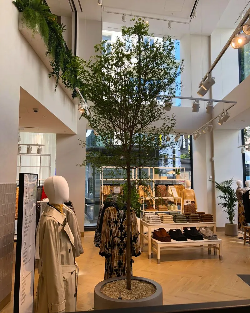 H&M Mariahilfer Straße Wien img_1308.JPEG